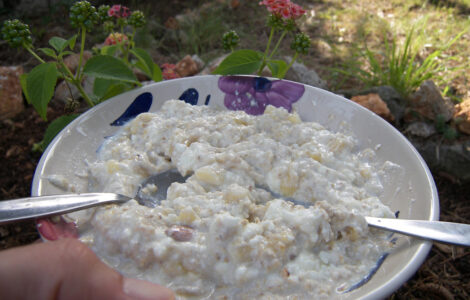 skuta in beljakovine recept